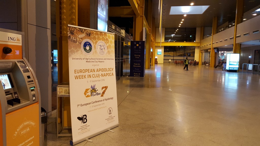 EurBee 7 Meeting point in Airport